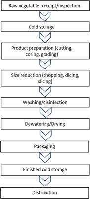 Fresh-Cut Vegetables Processing: Environmental Sustainability and Food Safety Issues in a Comprehensive Perspective